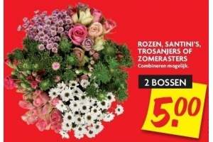 rozen santini s trosanjers of zomerasters