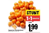 spaanse mandarijnen