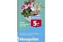 hoogvliet herfst arrangement bloemen per stuk