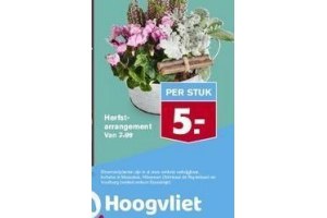 hoogvliet herfst arrangement bloemen per stuk