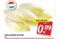 hollandse witlof