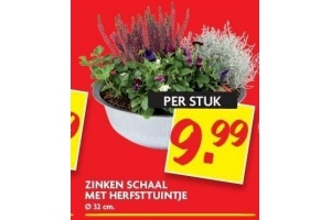 zinken schaal met herfsttuintje