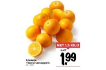 spaanse handsinaasappelen