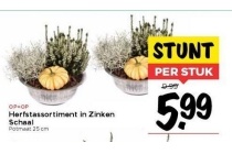 herfstassortiment in zinken schaal