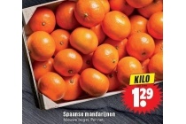 spaanse mandarijnen