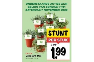 vetplant mix