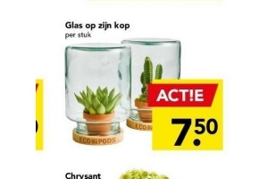 glas op zijn kop