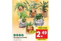 dierenpot met plantje