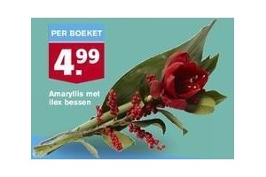 amaryllis met ilex bessen