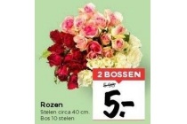 rozen