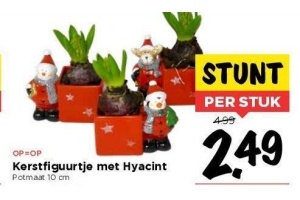 kerstfiguurtje met hyacint
