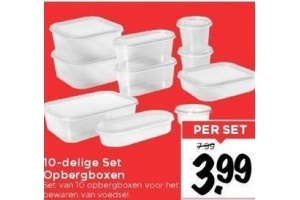 10 delig set opbergboxen