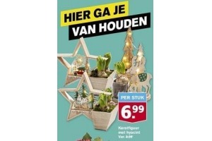 kerstfiguur met hyacint