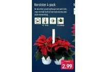 kerstster 4 pack