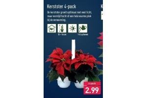 kerstster 4 pack