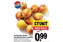 hollandse rode goudreinetten appels