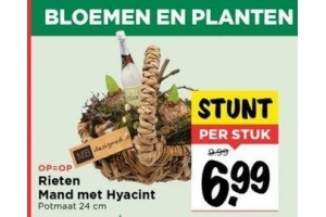 rieten mand met hyacint