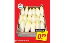 hollandse witlof