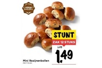 mini rozijnenbollen