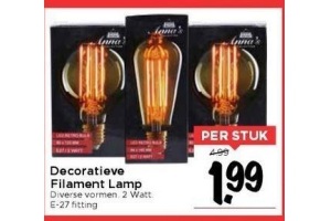 decoratieve filament lamp