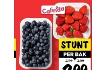 smaak aardbeiden of blauwe bessen