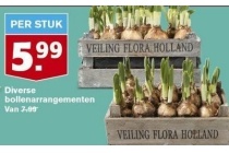 diverse bollenarrangementen