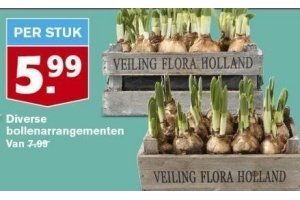 diverse bollenarrangementen