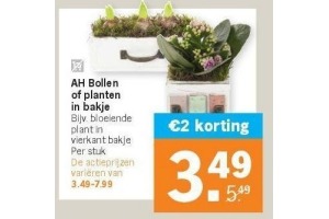 ah bollen of planten in bakje