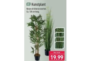 kunstplant