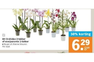 ah orchide 2 takker of voorjaarsmix 1 takker