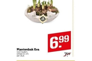 plantenbak eva