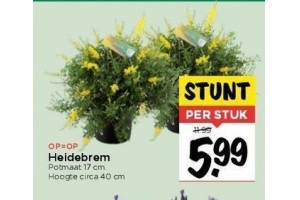 heidebrem nu eur5 99