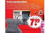perfect posture pillow