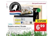 zeeuwse oesters 12 stuks