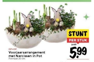 voorjaarsarrangement met narcissen in pot