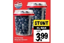 hollandse blauwe bessen