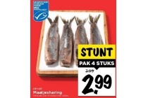 maatjesharing