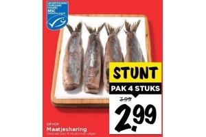 maatjesharing