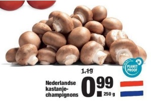 nederlandse kastanjechampignons