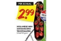 hollandse mini san marzano trostomaten