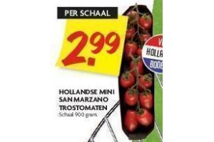 hollandse mini san marzano trostomaten