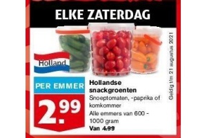 hollandse snackgroenten