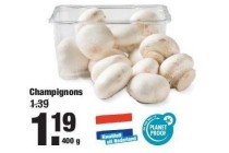 champignons