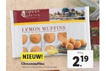 citroenmuffins