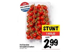 hollandse smaaktomaten